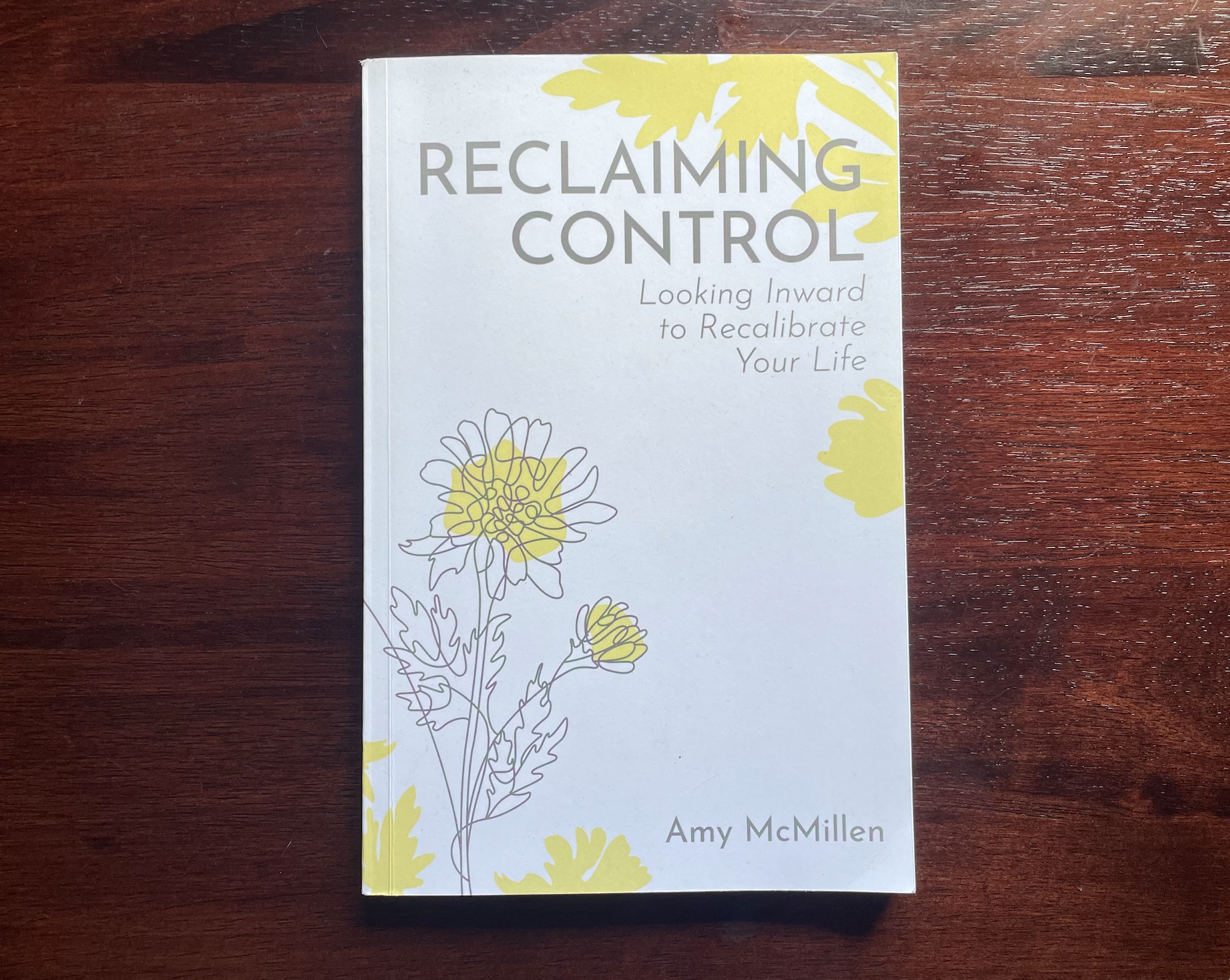 "Reclaiming Control" book cover